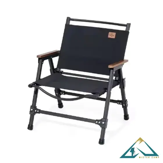صندلی تاشو نیچرهایک مدل CNK2350JJ015